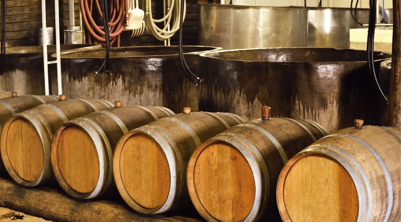 Oak maturing casks lined up in front of fermentation vessels at a Dublin distillery